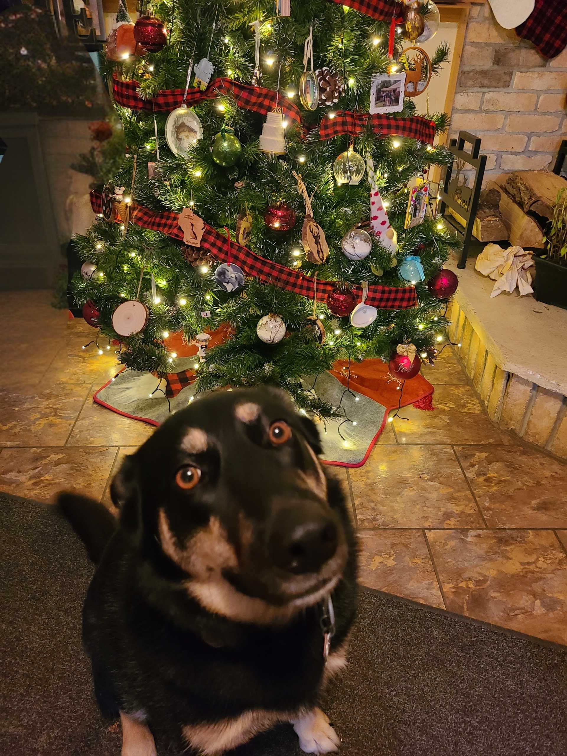 bellatrixlestrange_27061