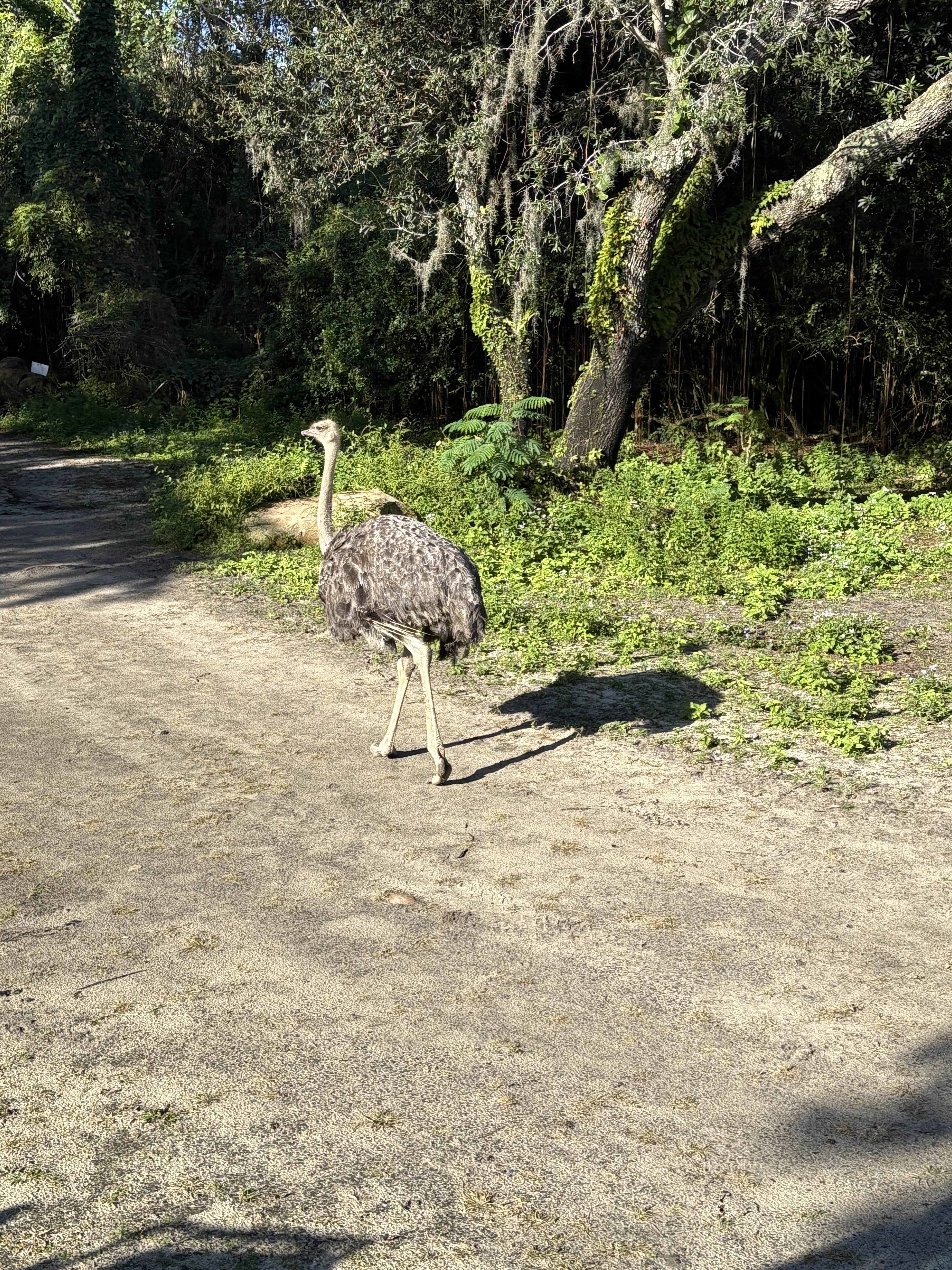 leviathan1_ytofficial