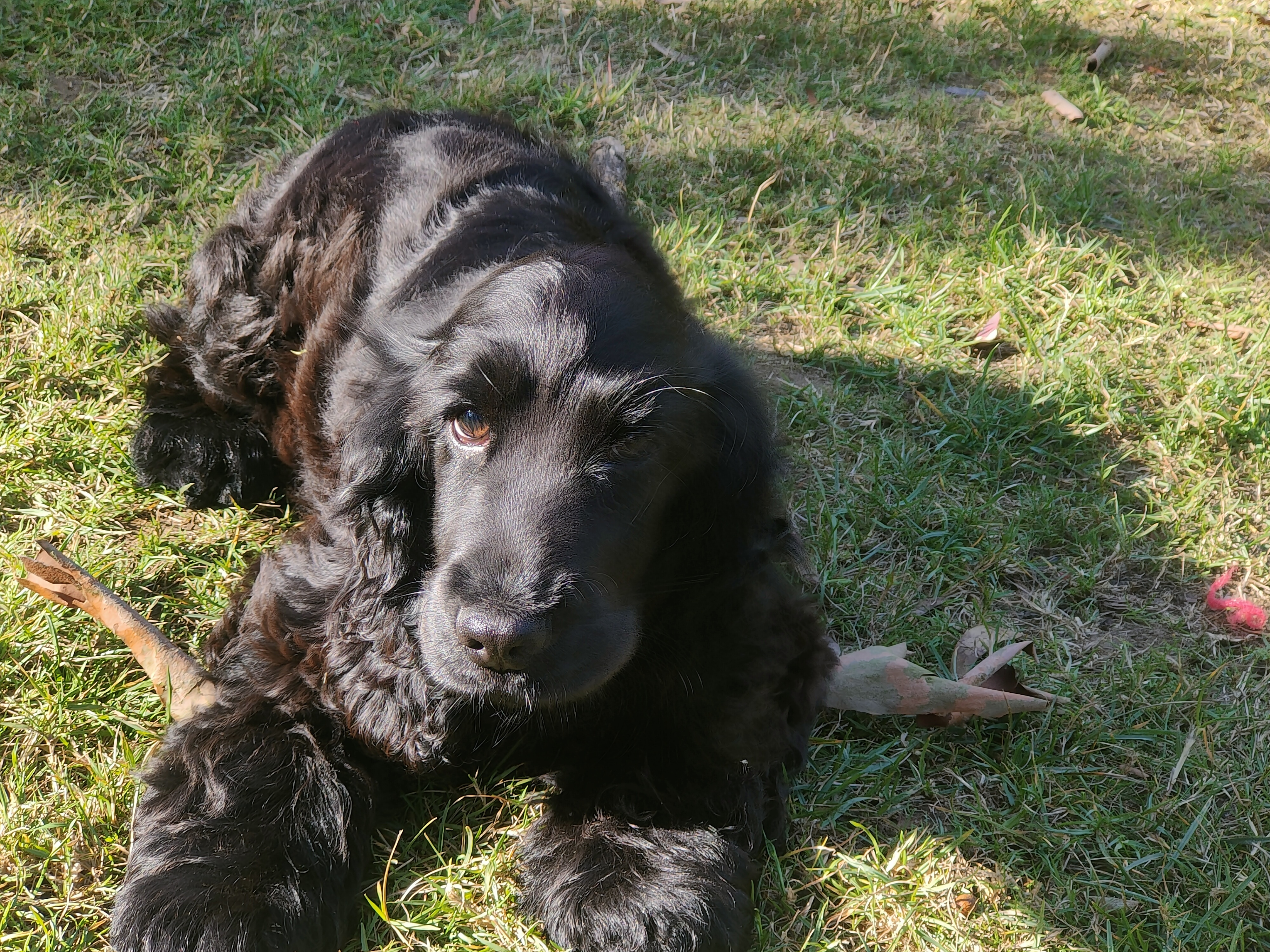 peachsquare5022_10145